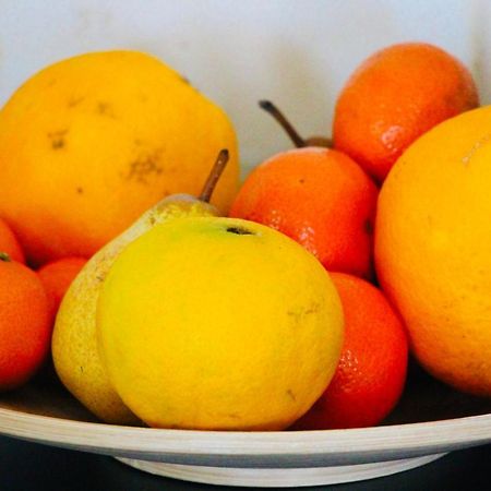 PuntallanaCasa Vista Pajaroアパートメント エクステリア 写真